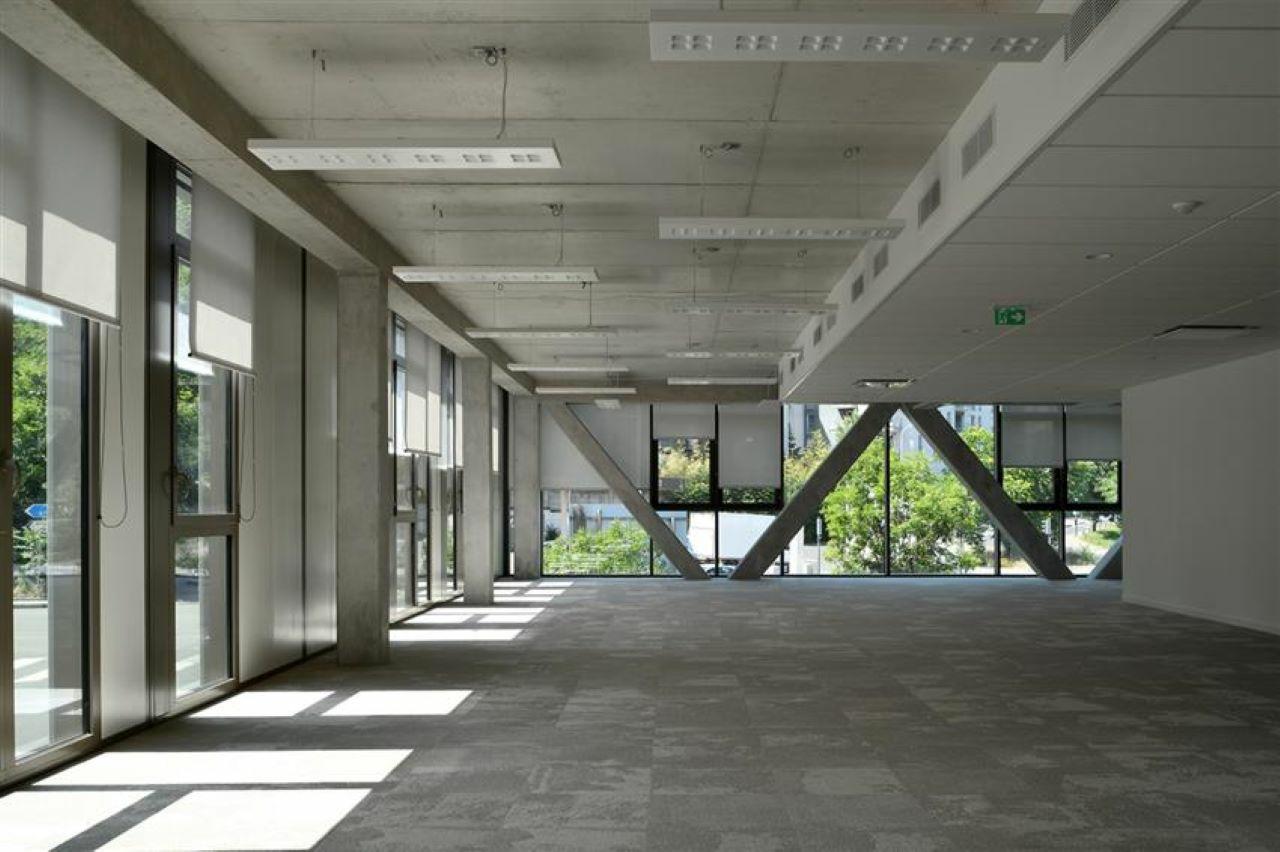Bureau Lyon 976m² Location bureau Lyon Rhône OLBUR2119091 8